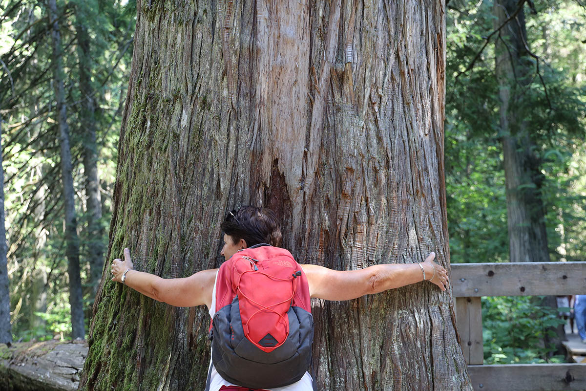 Gina Mom bij Giant Cedars Boardwalk